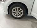Volkswagen Touran 1.6TDI Business 85kW RAC - thumbnail 8