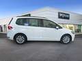 Volkswagen Touran 1.6TDI Business 85kW RAC - thumbnail 5