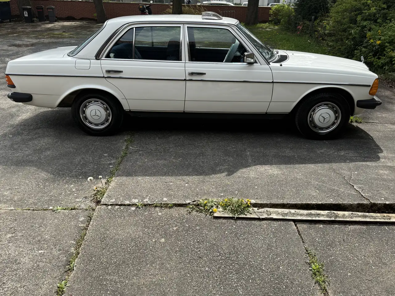 Mercedes-Benz Baureihe 123 230 E, foto 4