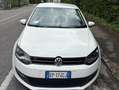 Volkswagen Polo Polo V 2009 5p 1.2 Comfortline 70cv Bianco - thumbnail 4