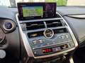 Lexus NX 300 h  Style Edition FLA SpurH LED KeyLess LM Wit - thumbnail 12
