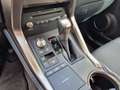 Lexus NX 300 h  Style Edition FLA SpurH LED KeyLess LM Bianco - thumbnail 14