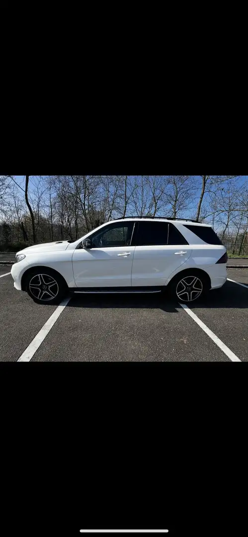 Mercedes-Benz GLE 450 GLE 450 AMG / AMG 43 4Matic (166.064) Alb - 1