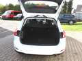 Ford Focus Cool & Connect 1,0 EcoBoost Start/Stopp Bianco - thumbnail 19