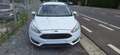 Ford Focus Focus 1.5 TDCi Business Class PowerShift Blanco - thumbnail 1