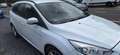 Ford Focus Focus 1.5 TDCi Business Class PowerShift Blanco - thumbnail 3