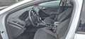 Ford Focus Focus 1.5 TDCi Business Class PowerShift Blanco - thumbnail 9