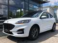 Ford Kuga 274 Kuga 2.5 PHEV Hybrid Automatik ST-Line X Wit - thumbnail 3