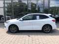 Ford Kuga 274 Kuga 2.5 PHEV Hybrid Automatik ST-Line X Wit - thumbnail 10