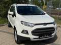 Ford EcoSport 1,0 EcoBoost Titanium*AHK*ZAHNRIEHMEN NEU* Weiß - thumbnail 2