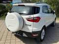 Ford EcoSport 1,0 EcoBoost Titanium*AHK*ZAHNRIEHMEN NEU* Weiß - thumbnail 5