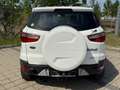 Ford EcoSport 1,0 EcoBoost Titanium*AHK*ZAHNRIEHMEN NEU* Weiß - thumbnail 10