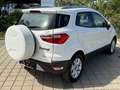 Ford EcoSport 1,0 EcoBoost Titanium*AHK*ZAHNRIEHMEN NEU* Weiß - thumbnail 7