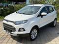 Ford EcoSport 1,0 EcoBoost Titanium*AHK*ZAHNRIEHMEN NEU* Weiß - thumbnail 3