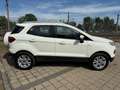 Ford EcoSport 1,0 EcoBoost Titanium*AHK*ZAHNRIEHMEN NEU* Weiß - thumbnail 12