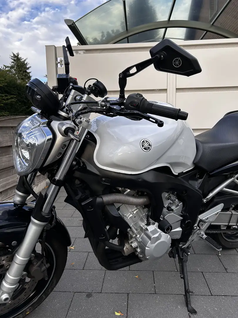 Yamaha FZ 6 Naked Wit - 2
