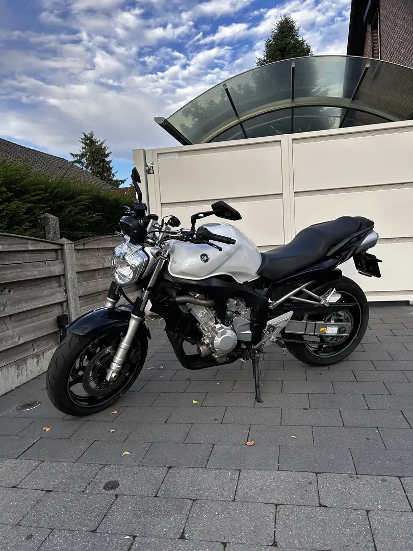 Yamaha FZ 6 Naked Wit - 1