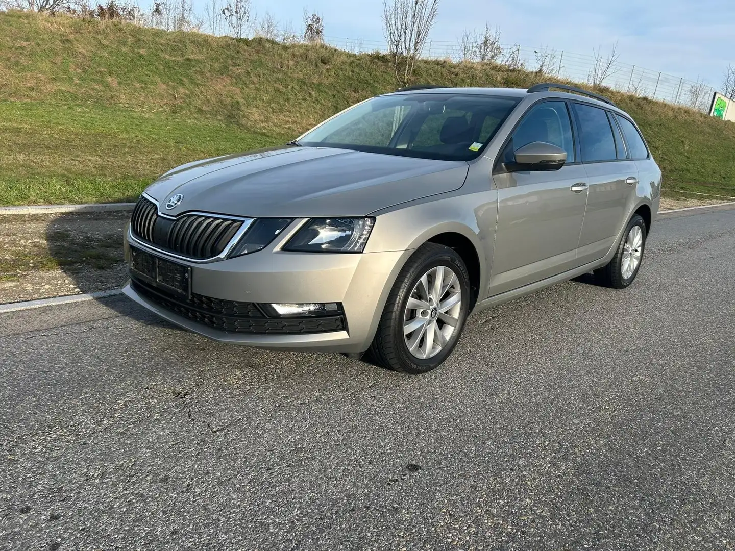 Skoda Octavia Ambition Grau - 1