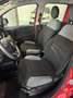 Fiat Panda 1.0 firefly hybrid s&s 70cv 5p.ti - thumbnail 9