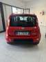 Fiat Panda 1.0 firefly hybrid s&s 70cv 5p.ti - thumbnail 6