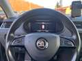 Skoda Octavia Scout 4x4 Navi Kamera Panorama AHK DAB Black - thumbnail 11
