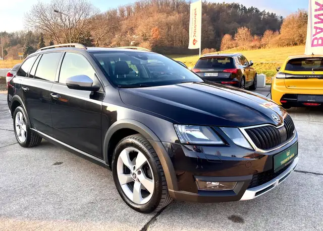 Skoda Octavia Scout 4x4 Navi Kamera Panorama AHK DAB
