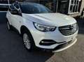 Opel Grandland X Grandland X 1.5 D Start/Stop Automatik Design Line Wit - thumbnail 1