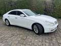 Mercedes-Benz CLS 320 CDI Blanc - thumbnail 4