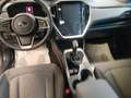 Subaru Crosstrek 2.0i e-Boxer MHEV CVT  Style "PRONTA CONSEGNA" Bianco - thumbnail 6
