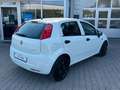 Fiat Punto 1.3  JTD  KLIMA / Kupplung Neu Blanc - thumbnail 6