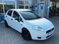 Fiat Punto 1.3  JTD  KLIMA / Kupplung Neu Blanc - thumbnail 3