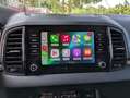 Skoda Karoq 1.5 TSI Ambition ACT DSG Gris - thumbnail 23