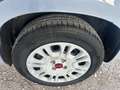 Fiat Panda 1.0 FireFly S&S Hybrid Easy Grigio - thumbnail 9