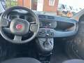 Fiat Panda 1.0 FireFly S&S Hybrid Easy Grigio - thumbnail 11