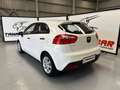 Kia Rio 1.2 Concept Blanco - thumbnail 3