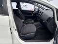 Kia Rio 1.2 Concept Blanco - thumbnail 6