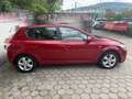 Kia Ceed / cee'd cee'd 1,4 CVVT Cool Doppeljackpot ISG Rot - thumbnail 29