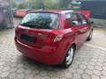 Kia Ceed / cee'd cee'd 1,4 CVVT Cool Doppeljackpot ISG Rot - thumbnail 5