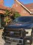 Ford F 150 Platinum Lichte Vracht - FULL OPTION Noir - thumbnail 16