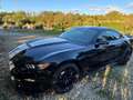 Shelby Sonstige SHELBY GT 350 Track Pack2018 Schwarz - thumbnail 2