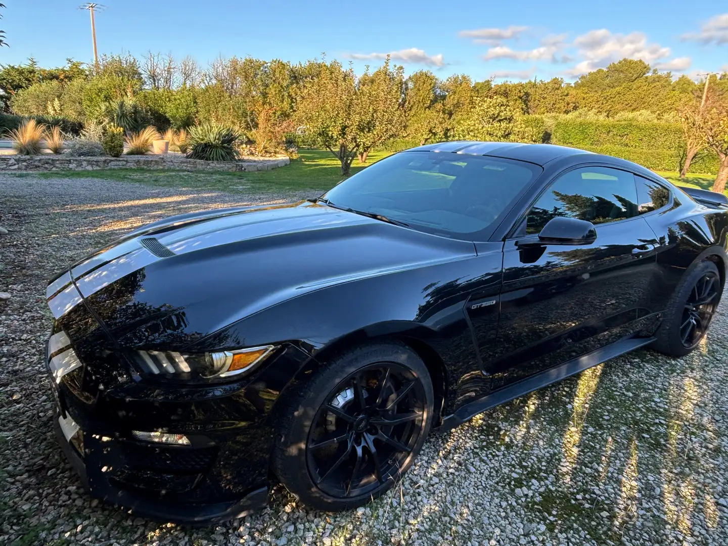 Shelby Sonstige SHELBY GT 350 Track Pack2018 Schwarz - 2