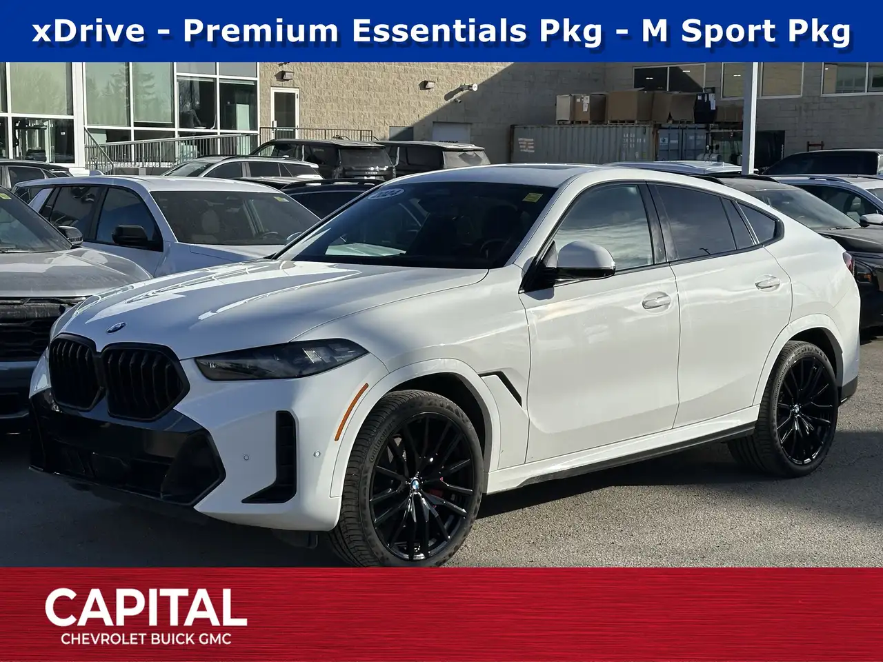 2024 BMW X6
