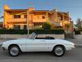 Alfa Romeo Spider Osso di Seppia 1600 Bianco - thumbnail 2