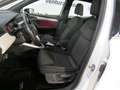 SEAT Arona 1.0 ECOTSI 95 CV XCELLENCE Weiß - thumbnail 12