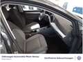 Volkswagen Golf VIII 2.0 TDI MOVE DSG GAR2029 App-Connect A Grau - thumbnail 6