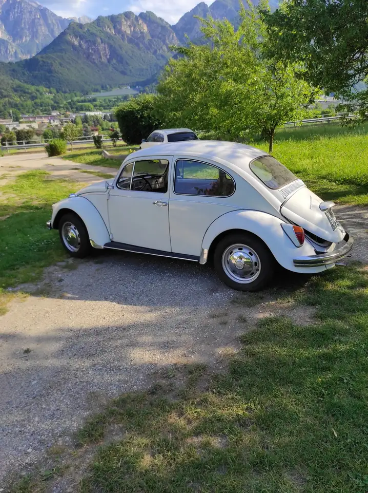 Volkswagen Maggiolino 1.2 L, foto 2