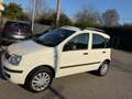 Fiat Panda 1.2 Natural Power - NEOPATENTATI - GARANTITA - Weiß - thumbnail 4