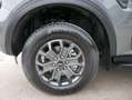 Ford Ranger EcoBlue WILDTRAK Dublecab 2.0 WILDTRAK*AHK*NAVI... Grau - thumbnail 4