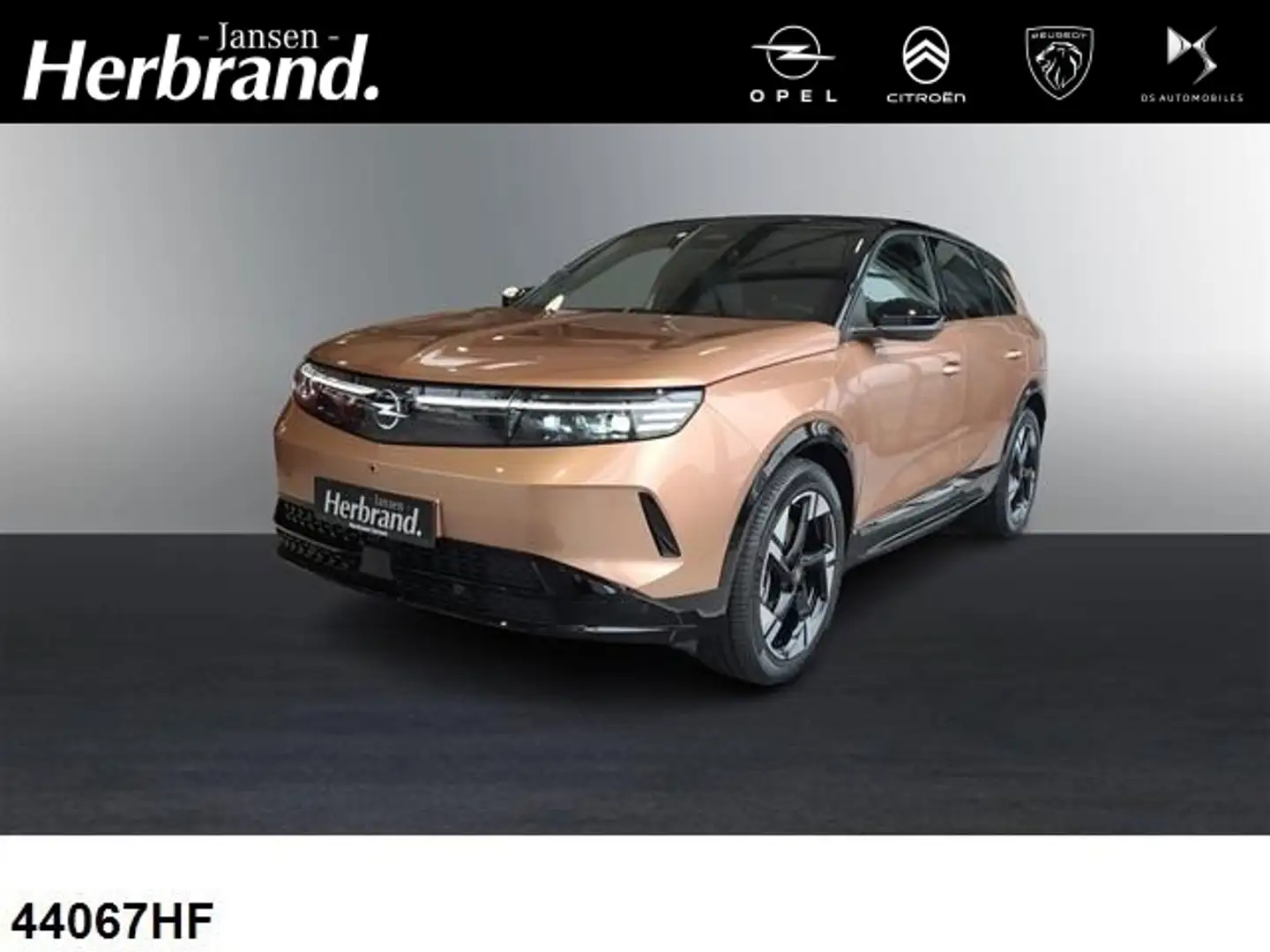 Opel Grandland X GS +DAB+KLIMA+TEMPOMAT+LED+ - 1