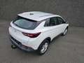 Opel Grandland X Grandland X 1.2 Start/Stop INNOVATION  FULL OHB.. Weiß - thumbnail 11